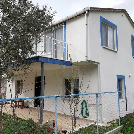Ali Summer House